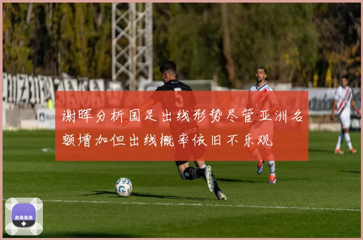 谢晖分析国足出线形势尽管亚洲名额增加但出线概率依旧不乐观